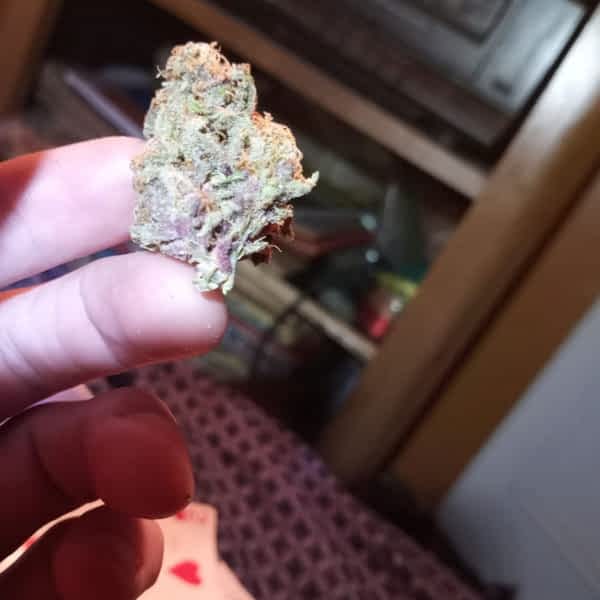 1gas