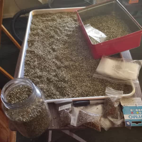 1gas